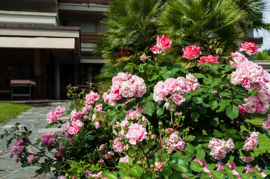 Michelangelo & Day Hotel 4*